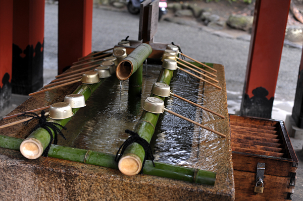 202 4 DSC_6384.jpg